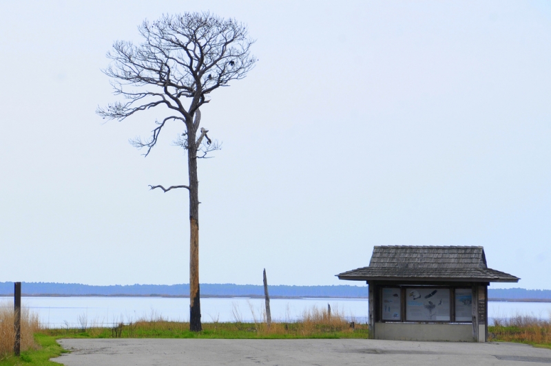 Blackwater Landing, USA